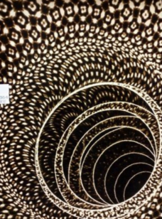 Untitled design (21)